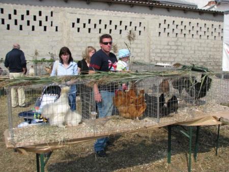 KMETIJSKA TRŽNICA 2009 5